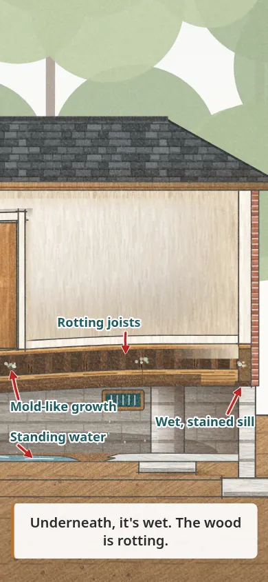 Under the house: standing water, mold-like growth, rotting joists, and a wet, stained sill.